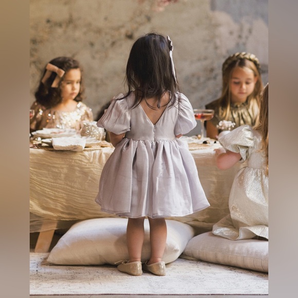 Noralee Sofia Dress in Frost - Picture 7 of 7